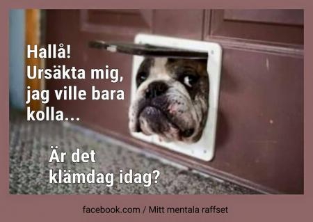 Bifogad bild