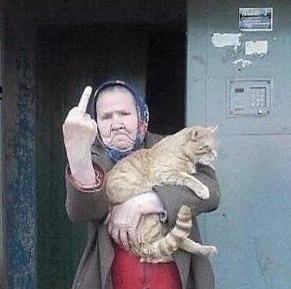 Bifogad bild