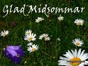 Bifogad bild