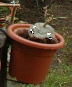 Bifogad bild