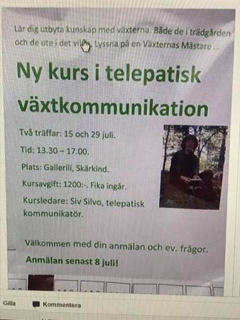 Bifogad bild