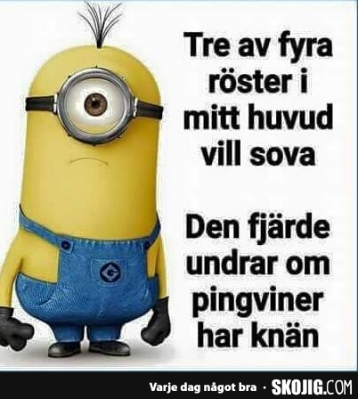 Bifogad bild