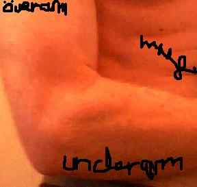 Bifogad bild