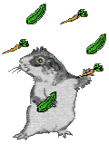 Bifogad bild