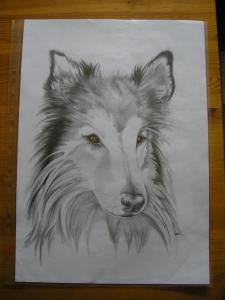 Bifogad bild