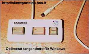 Bifogad bild