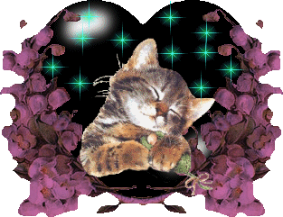 Bifogad bild