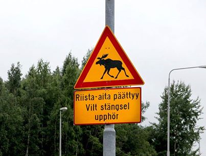 Bifogad bild