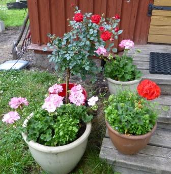 Bifogad bild