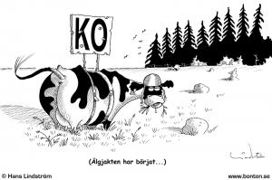 Bifogad bild