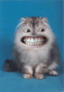 Bifogad bild