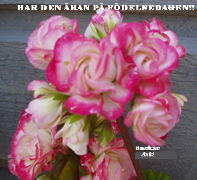 Bifogad bild