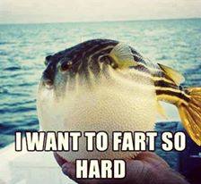 Bifogad bild