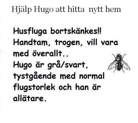 Bifogad bild