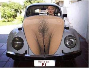 Bifogad bild
