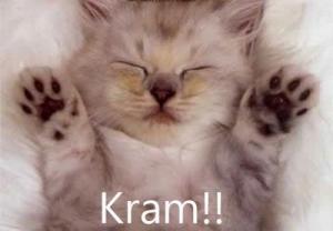 Bifogad bild
