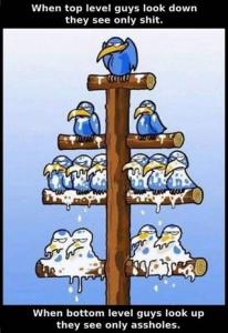 Bifogad bild