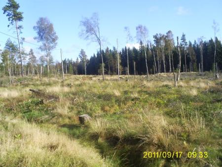 Bifogad bild