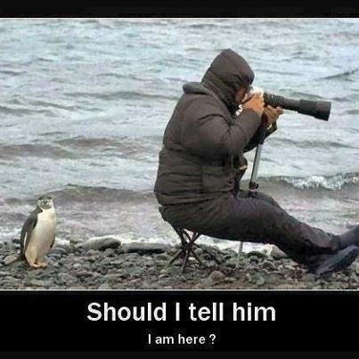 Bifogad bild
