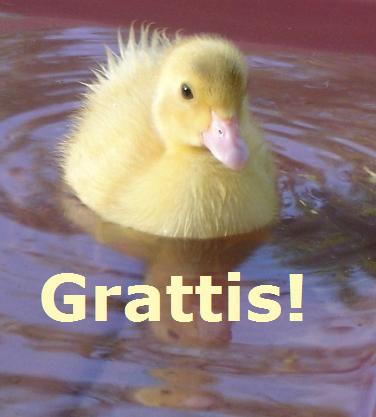 Bifogad bild