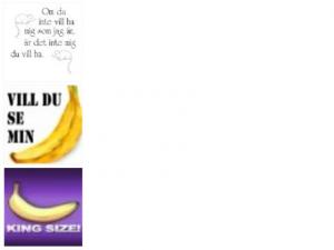 Bifogad bild