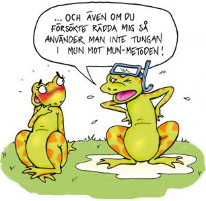 Bifogad bild