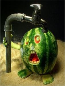 Bifogad bild