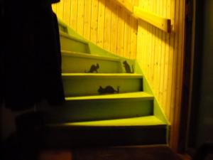 Bifogad bild