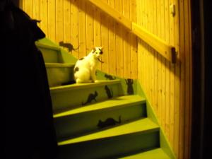 Bifogad bild