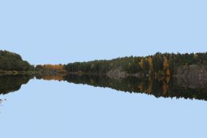Bifogad bild