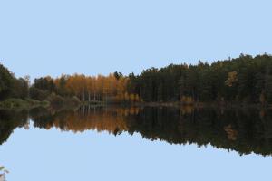 Bifogad bild