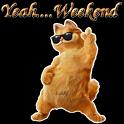 Bifogad bild