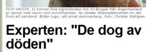 Bifogad bild