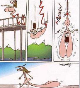 Bifogad bild
