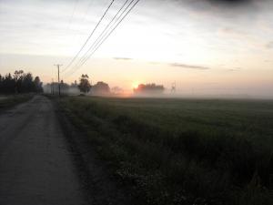 Bifogad bild