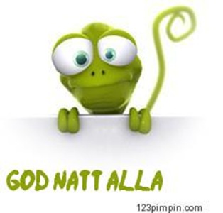 Bifogad bild