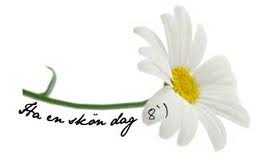 Bifogad bild