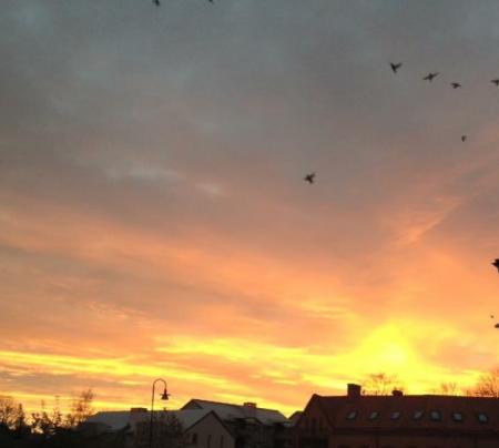 Bifogad bild