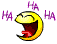 Bifogad bild