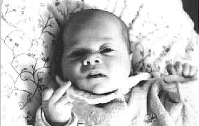Bifogad bild