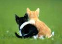 Bifogad bild