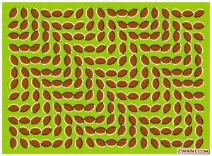 Bifogad bild