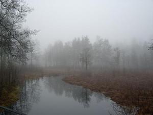 Bifogad bild