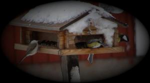 Bifogad bild