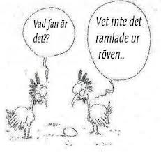 Bifogad bild
