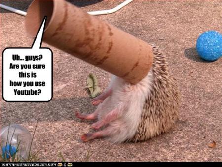 Bifogad bild