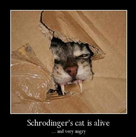 Bifogad bild