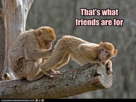 Bifogad bild