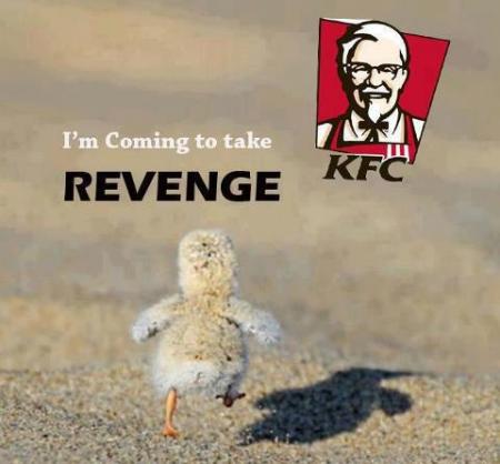 Bifogad bild