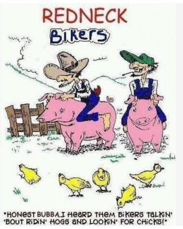Bifogad bild